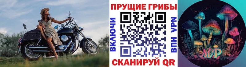 Галлюциногенные грибы Psilocybine cubensis Кондрово