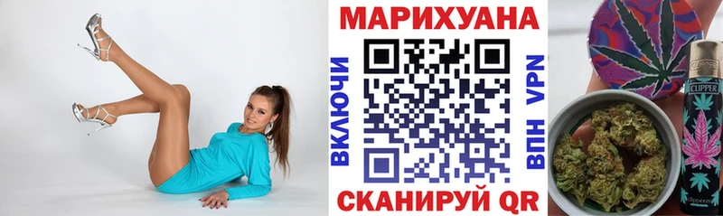 дарнет шоп  Кондрово  Канабис сатива 